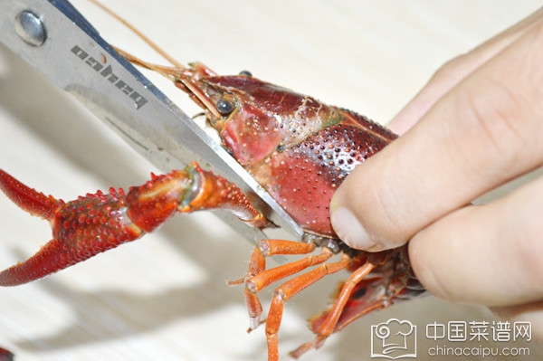 С��Ϻ�Ĵ������� С��Ϻ����ѡ����ϴ�����㶼֪����