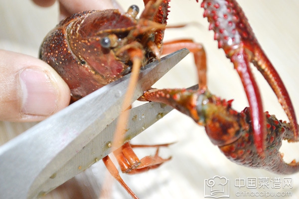 С��Ϻ�Ĵ������� С��Ϻ����ѡ����ϴ�����㶼֪����