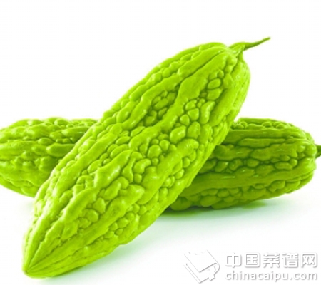 ������ʳ������⿼��ɴ�ϼ� 