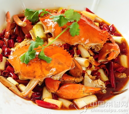 ������ʳ������⿼��ɴ�ϼ� 