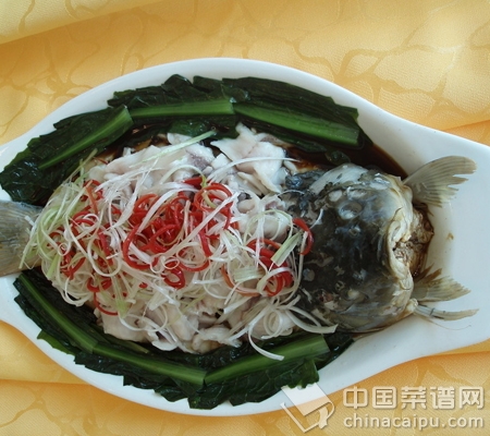 ������ʳ������⿼��ɴ�ϼ� 