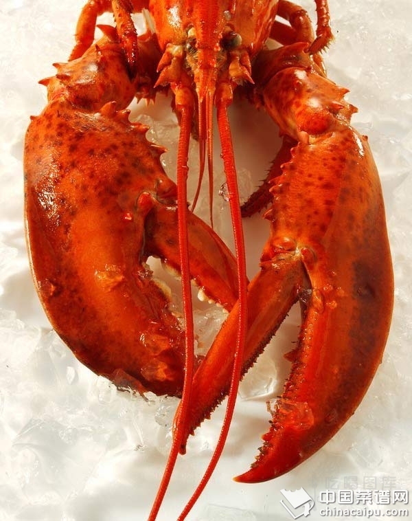 �����ÿ��ӿ��ٰ�����Ϻ��