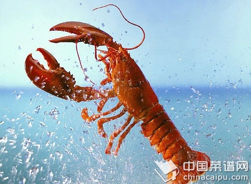 �����ÿ��ӿ��ٰ�����Ϻ��