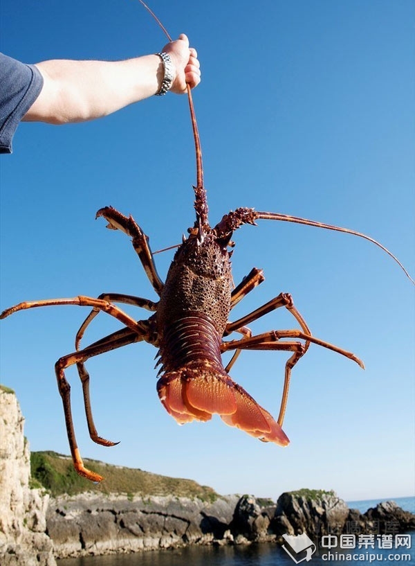 �����ÿ��ӿ��ٰ�����Ϻ��