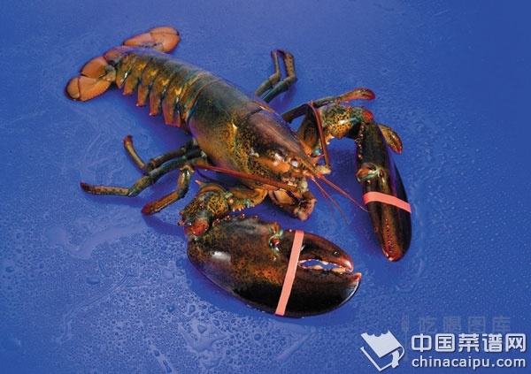 �����ÿ��ӿ��ٰ�����Ϻ��