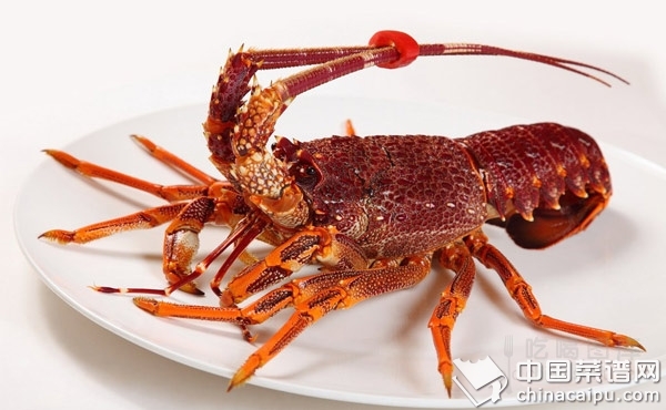 �����ÿ��ӿ��ٰ�����Ϻ��