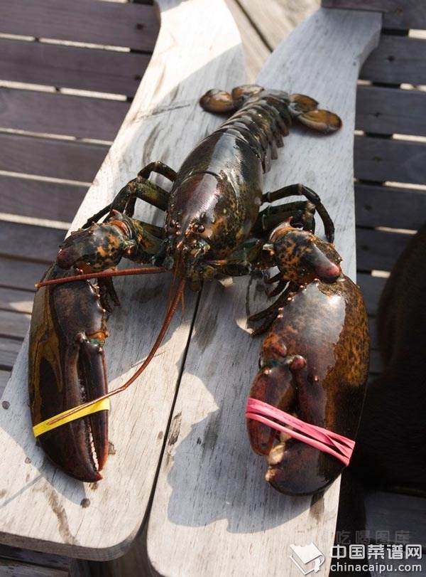 �����ÿ��ӿ��ٰ�����Ϻ��