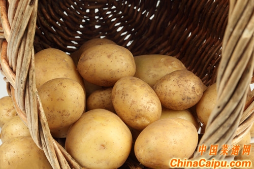 Ů�Գ�����5��Ч3�����