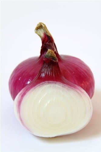 ����������������߲˻ʺ� ����б�֪9����