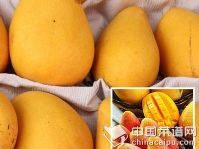 �ɳ�ˮ���������弲��