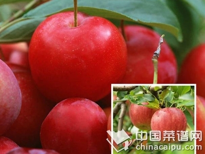 �ɳ�ˮ���������弲��