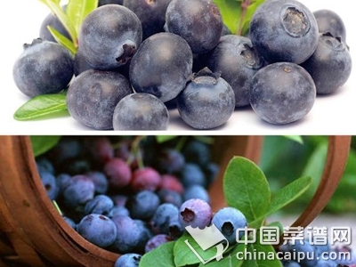 �ɳ�ˮ���������弲��