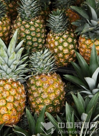 ˮ������������8��"ƭ��"