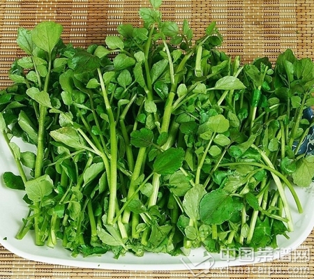 �̵㶬��Ӫ����ߵ�10���߲�