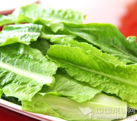 �̵㶬��Ӫ����ߵ�10���߲�