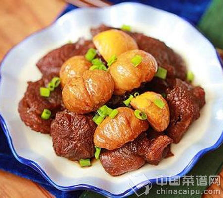 ��ʮһ�����ʳ������� 