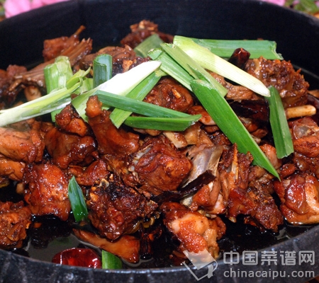 ��ʮһ�����ʳ������� 