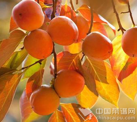 ��ʮһ�����ʳ������� 