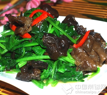 ������Ů�˵�10��ʳ��