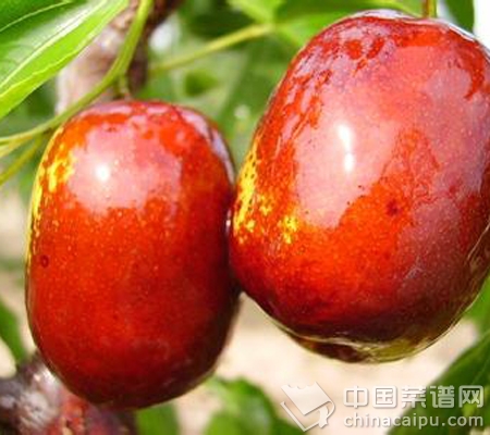 �＾�̲����߹�