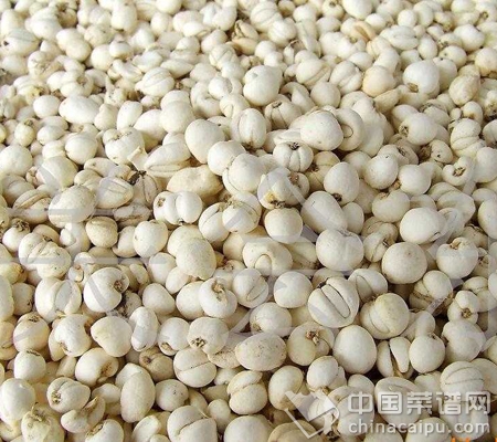 ������ҩ�İ������＾������